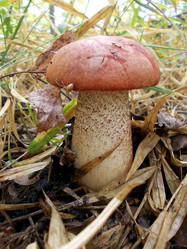 Similar image 2979976