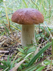 Similar image 2979995