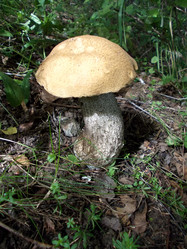 Similar image 2979996