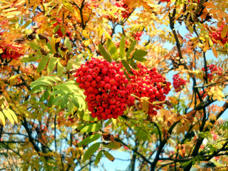 Similar image 2979999