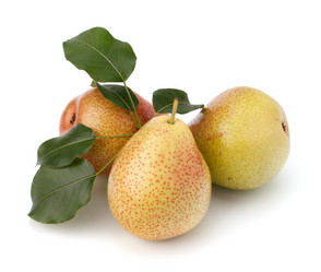 Similar image 2980017