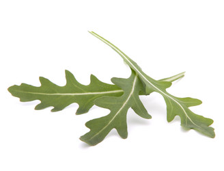 Similar image 2980038