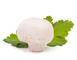 Similar image 2980088