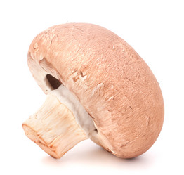 Similar image 2980091