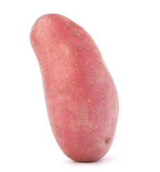 Similar image 2980093