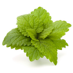 Similar image 2980105