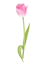 Similar image 2980129