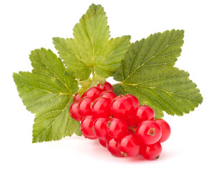 Similar image 2980142