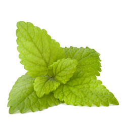 Similar image 2980151