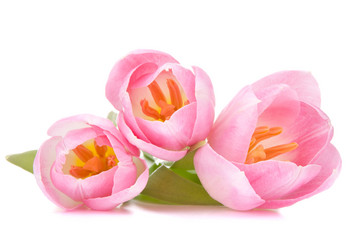 Similar image 2980196