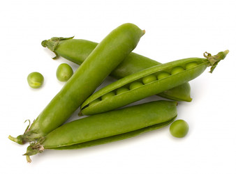 Similar image 2980245