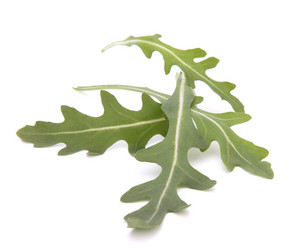 Similar image 2980257