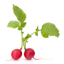 Similar image 2980259