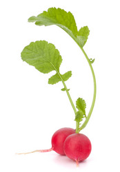 Similar image 2980286