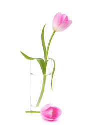 Similar image 2980298