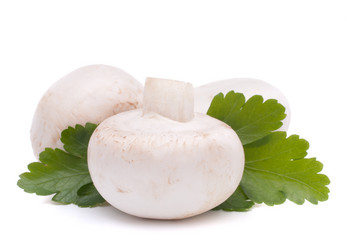 Similar image 2980334