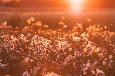 Similar image 2980339