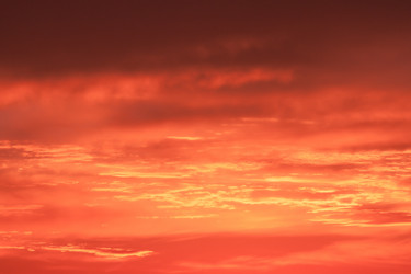 Similar image 2980346