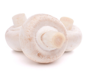 Similar image 2980355