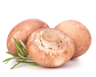 Similar image 2980362