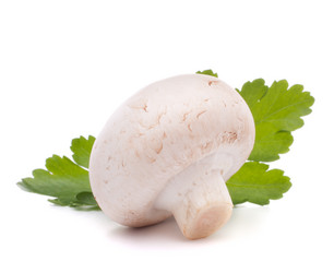 Similar image 2980375