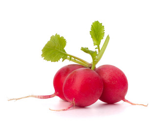 Similar image 2980426