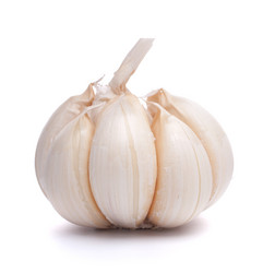 Similar image 2980447