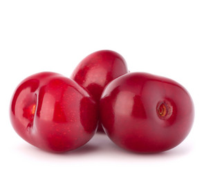 Similar image 2980460