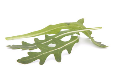 Similar image 2980472