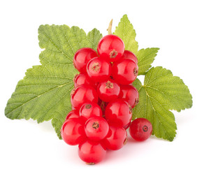 Similar image 2980495