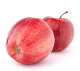 Similar image 2980496