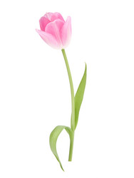 Similar image 2980499