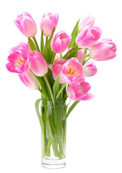 Similar image 2980501