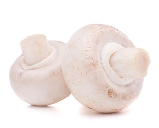 Similar image 2980519