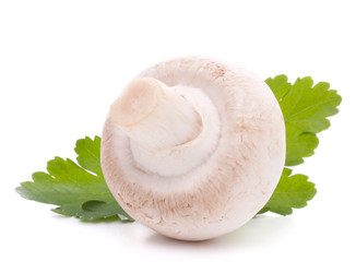 Similar image 2980565