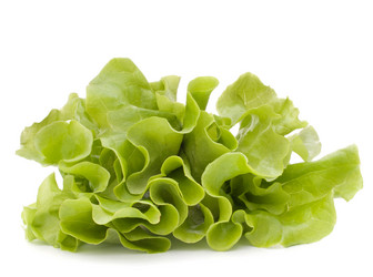 Similar image 2980576