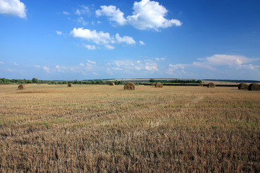 Similar image 2980662