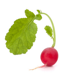 Similar image 2980686