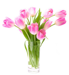 Similar image 2980746