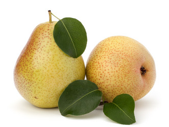 Similar image 2980747