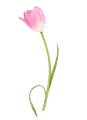 Similar image 2980753