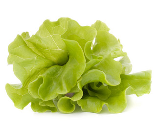 Similar image 2980775