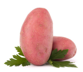 Similar image 2980776