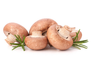 Similar image 2980778