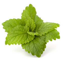 Similar image 2980808