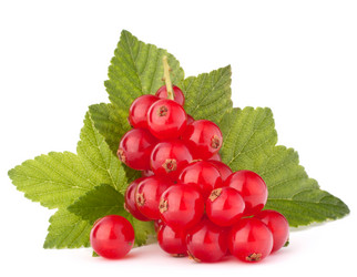 Similar image 2980822