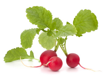 Similar image 2980837