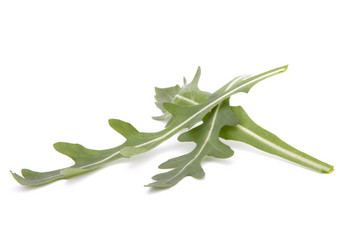 Similar image 2980849