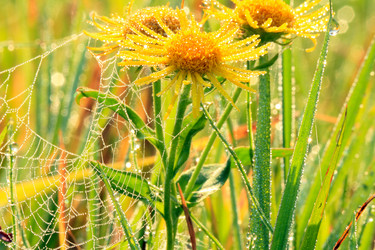 Similar image 2980859