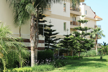 Similar image 2980862